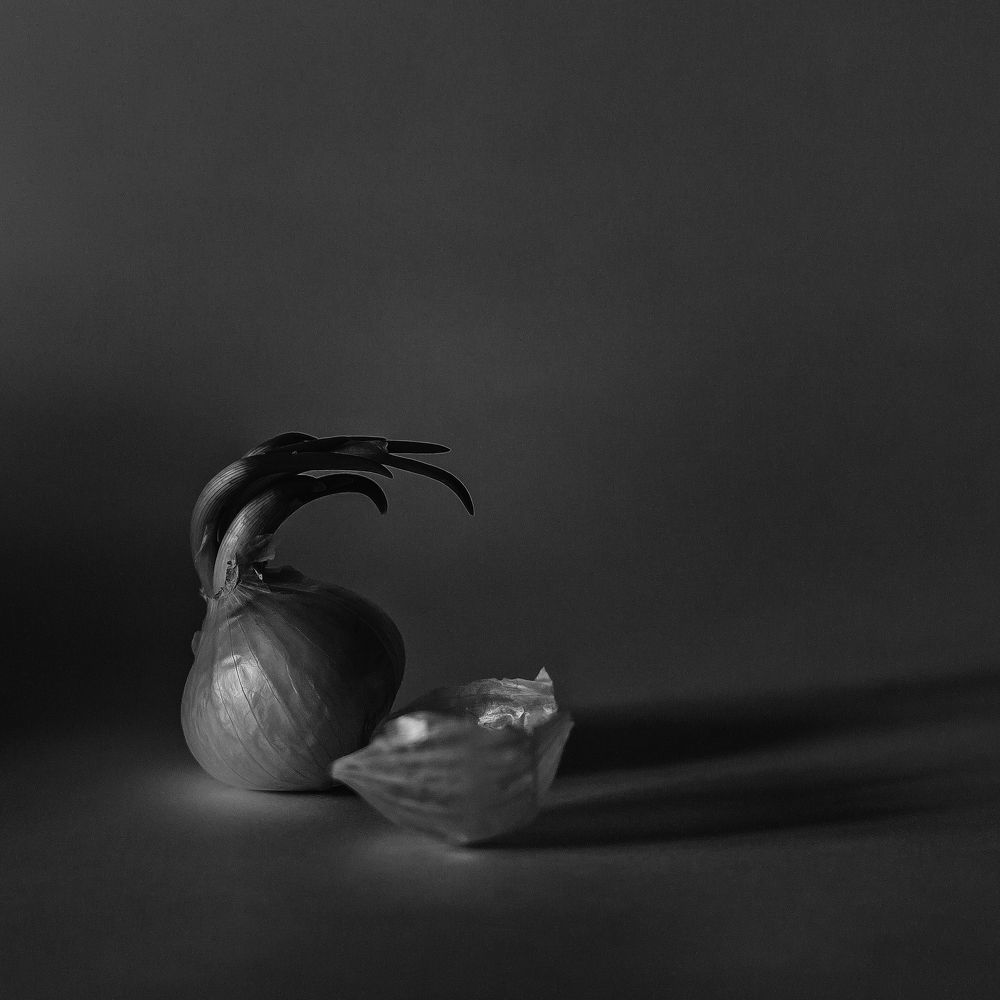 Photograph by Денис Сухачев