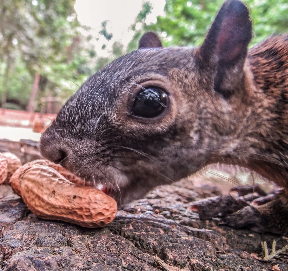 Photograph by Juan Carlos Molina Montes de Oca