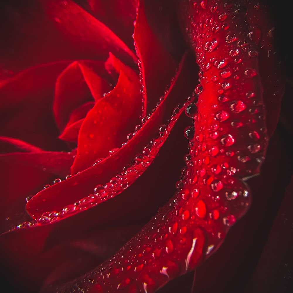 Photograph by Анастасия Арбузова