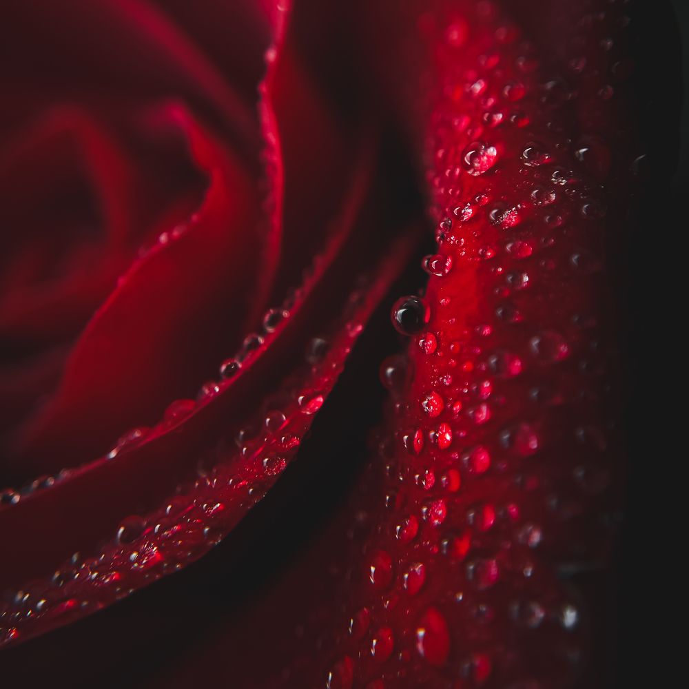 Photograph by Анастасия Арбузова