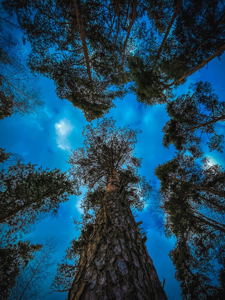 Photograph by Анастасия Арбузова