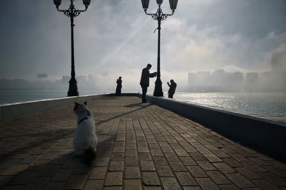 Photograph by Jaylord Plaza