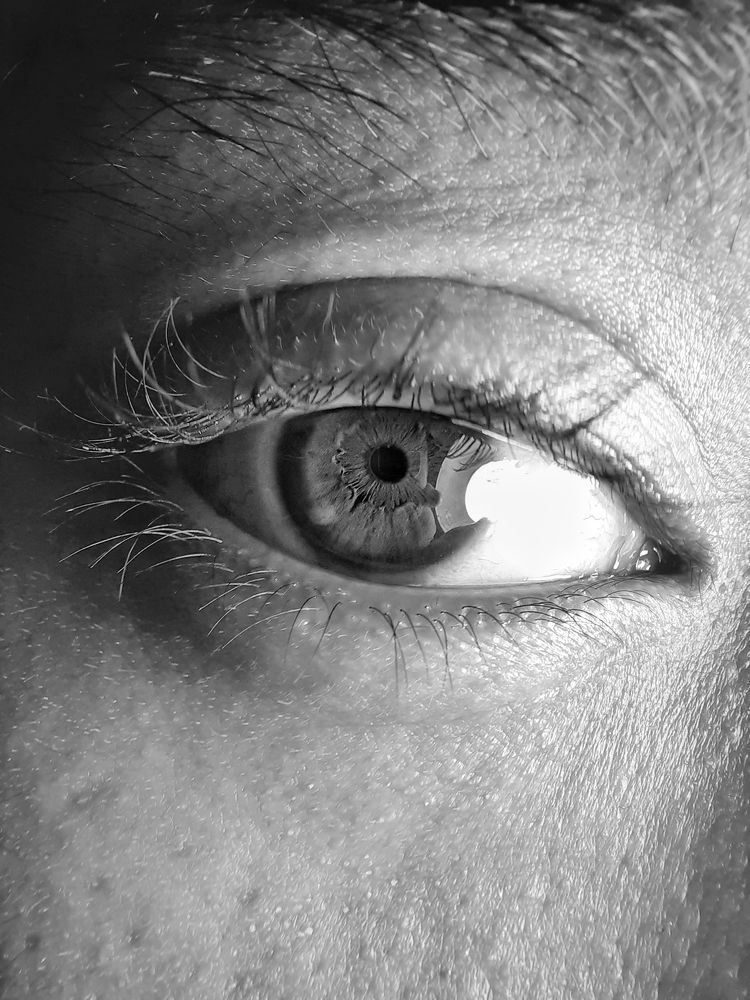 Potrait of eye