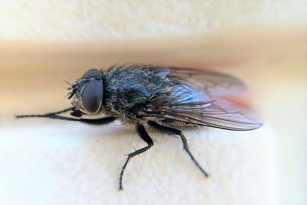 Photograph by Федоренко Элеонора