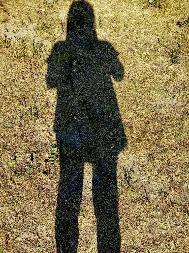 Photograph by НИНА АВЕРЬЯНОВА