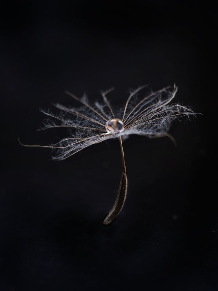 Photograph by Татьяна Галкина