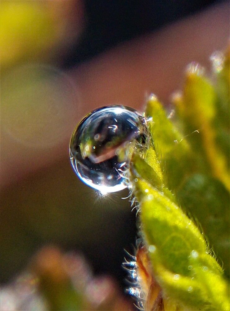 Photograph by Федоренко Элеонора