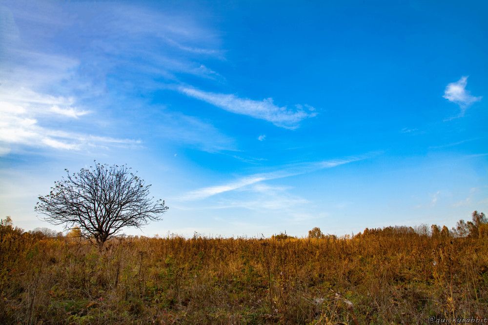 Photograph by Кирилл Митрошкин