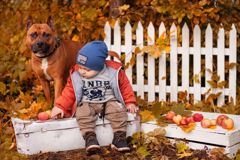 Photograph by Ольга Николаева