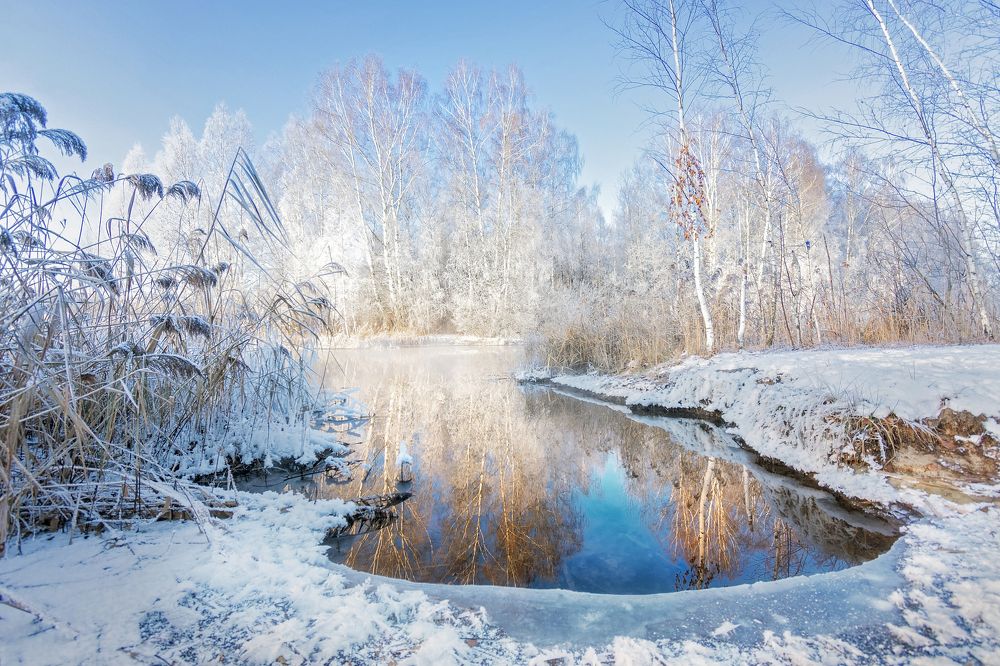 Photograph by Светлана Медведева