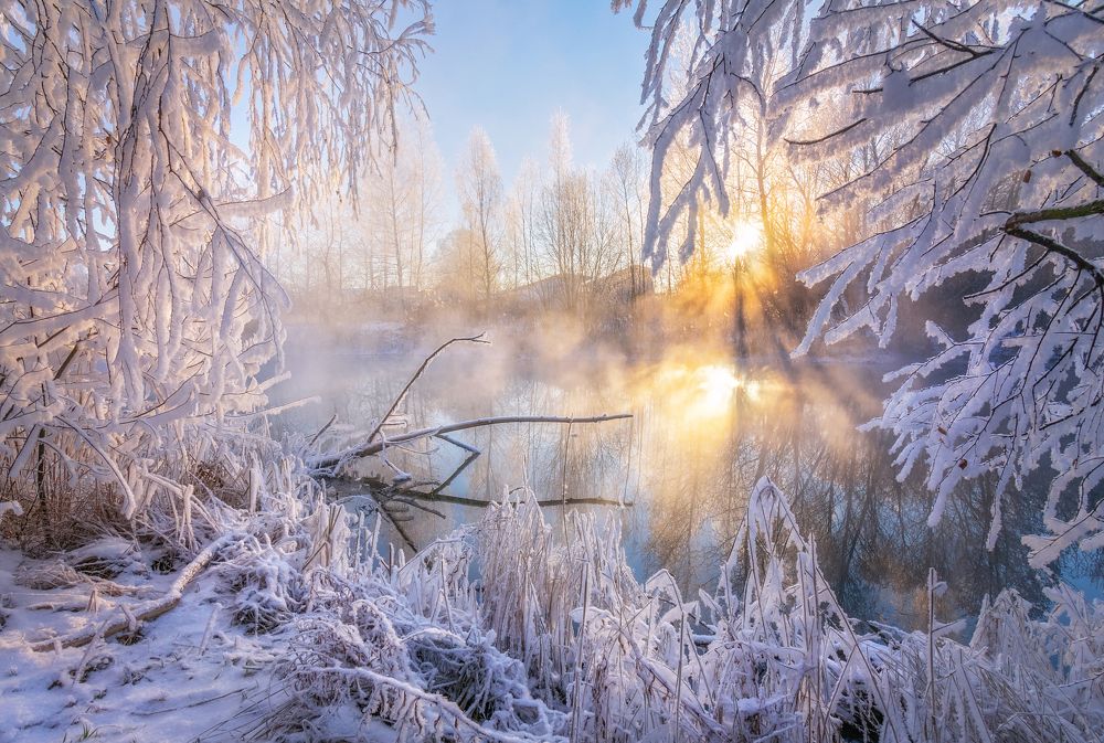Photograph by Светлана Медведева