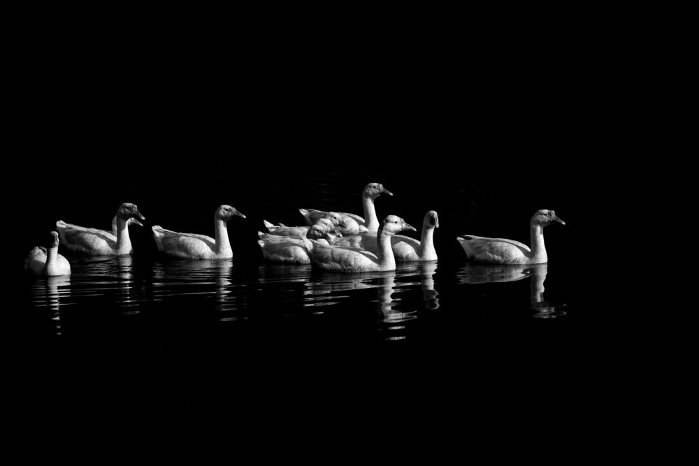 Photograph by KARKI RAJAT