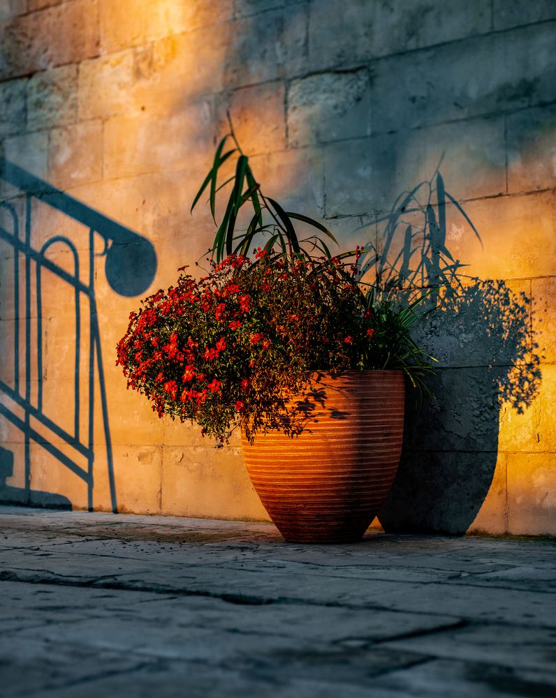 Photograph by андрей захаров