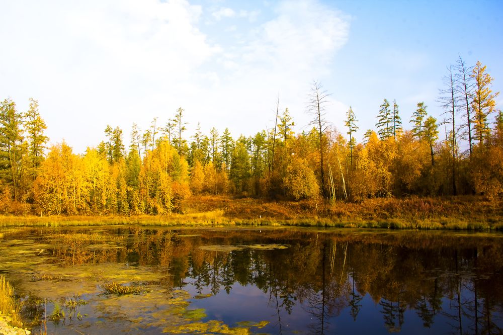 Отражение осени.