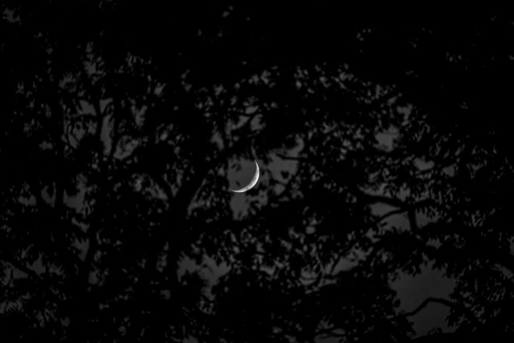 Photograph by KARKI RAJAT
