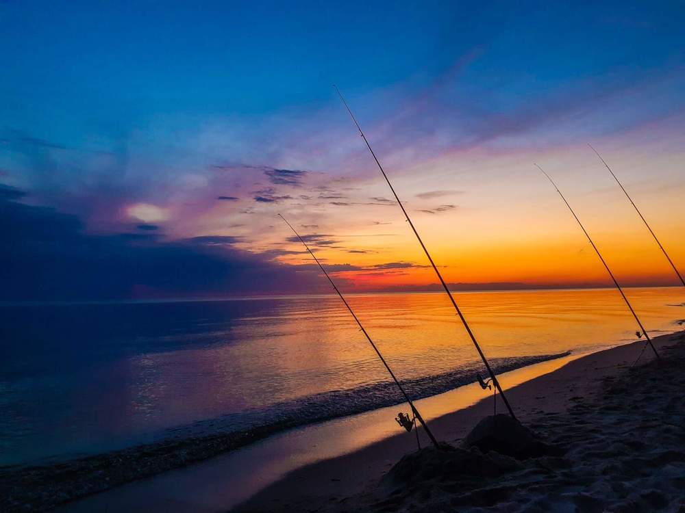 Photograph by Ирина Дубицкая