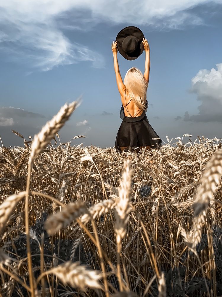 Просторы Кубани