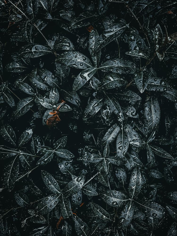 Photograph by Андрей Васильев