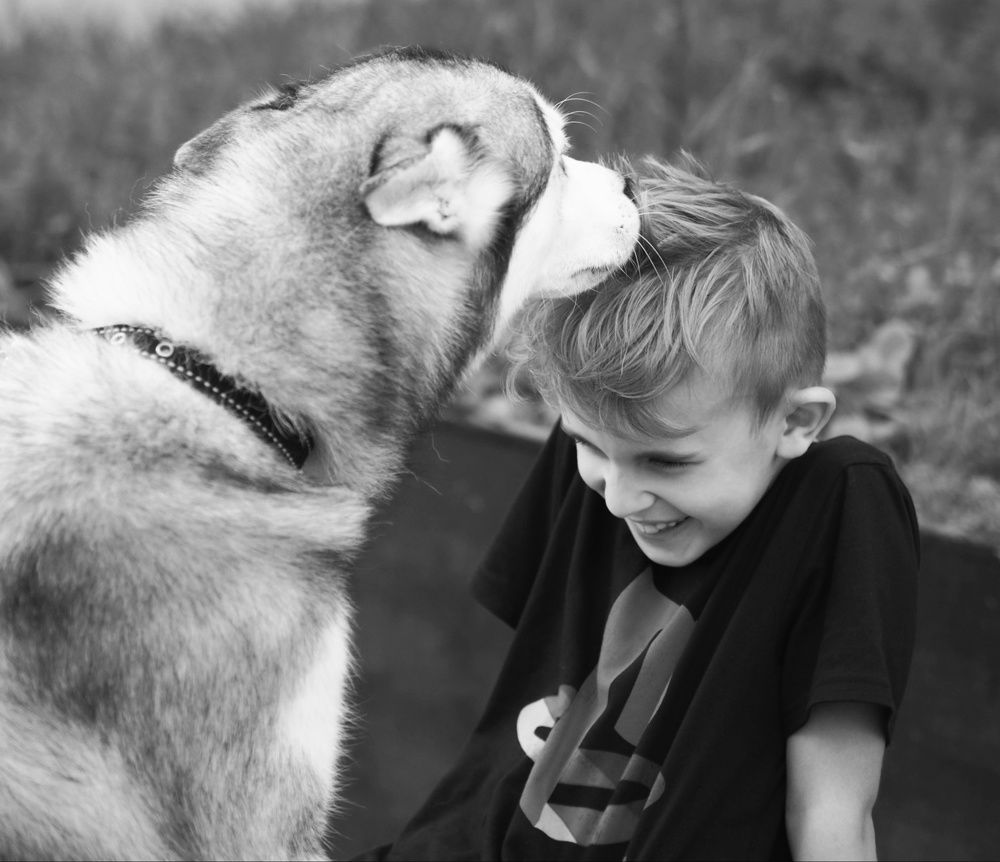 Лучший друг