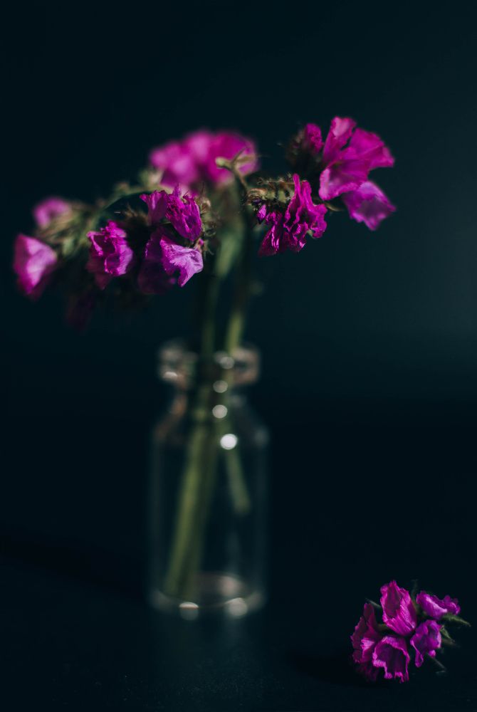 Photograph by Анна Колесникова