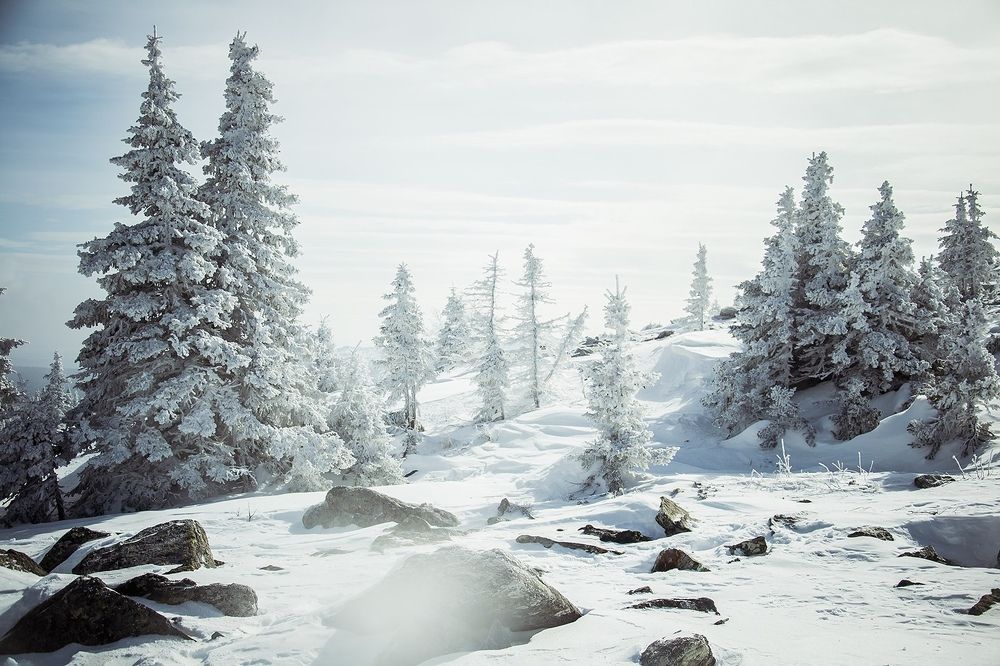 Photograph by Евгений Бушуев