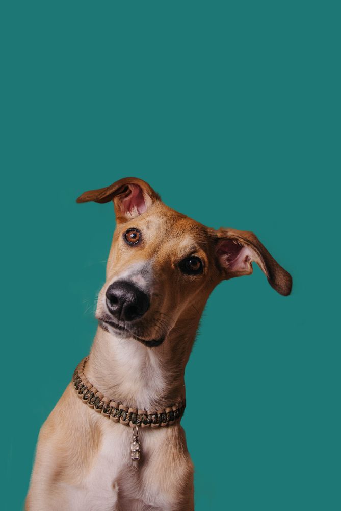 Photograph by Anastasiia Mietielieva