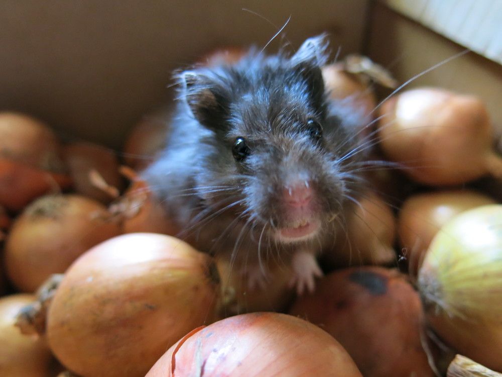 Photograph by ЭЛЬМИРА  ИСМАИЛОВА