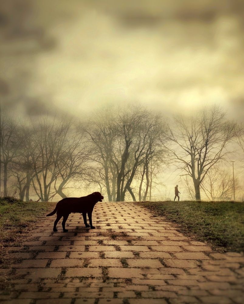 Photograph by Snezana Boskovic