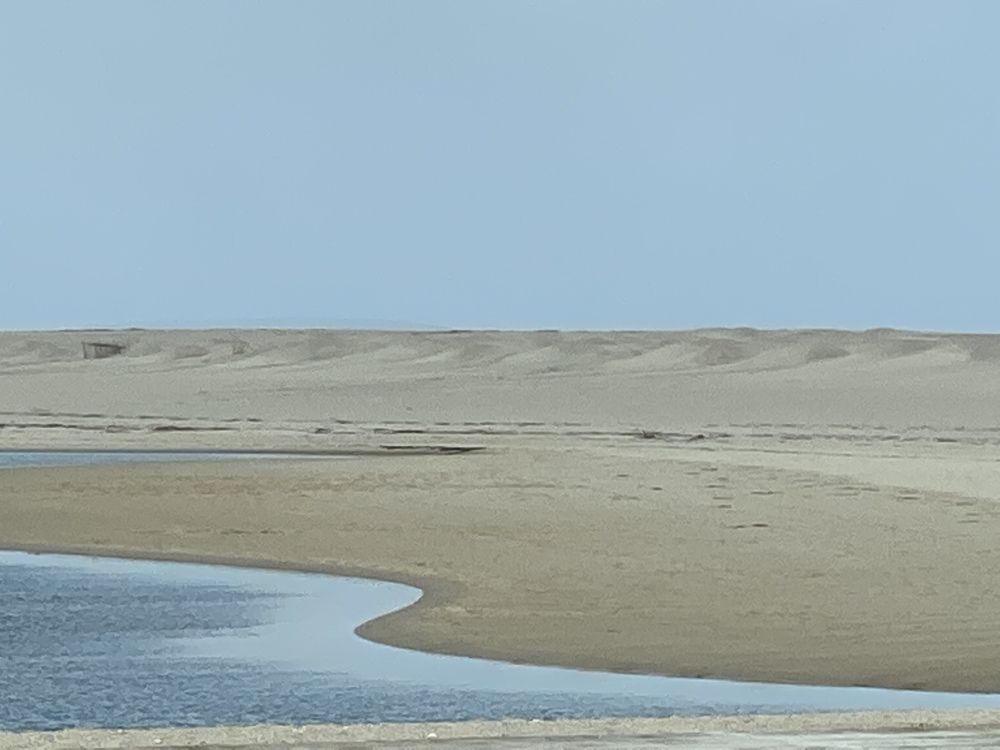 Photograph by Luís Damas