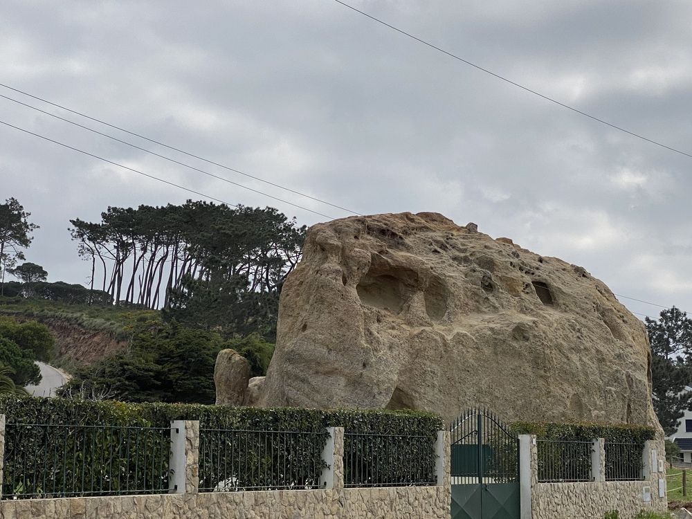 Photograph by Luís Damas