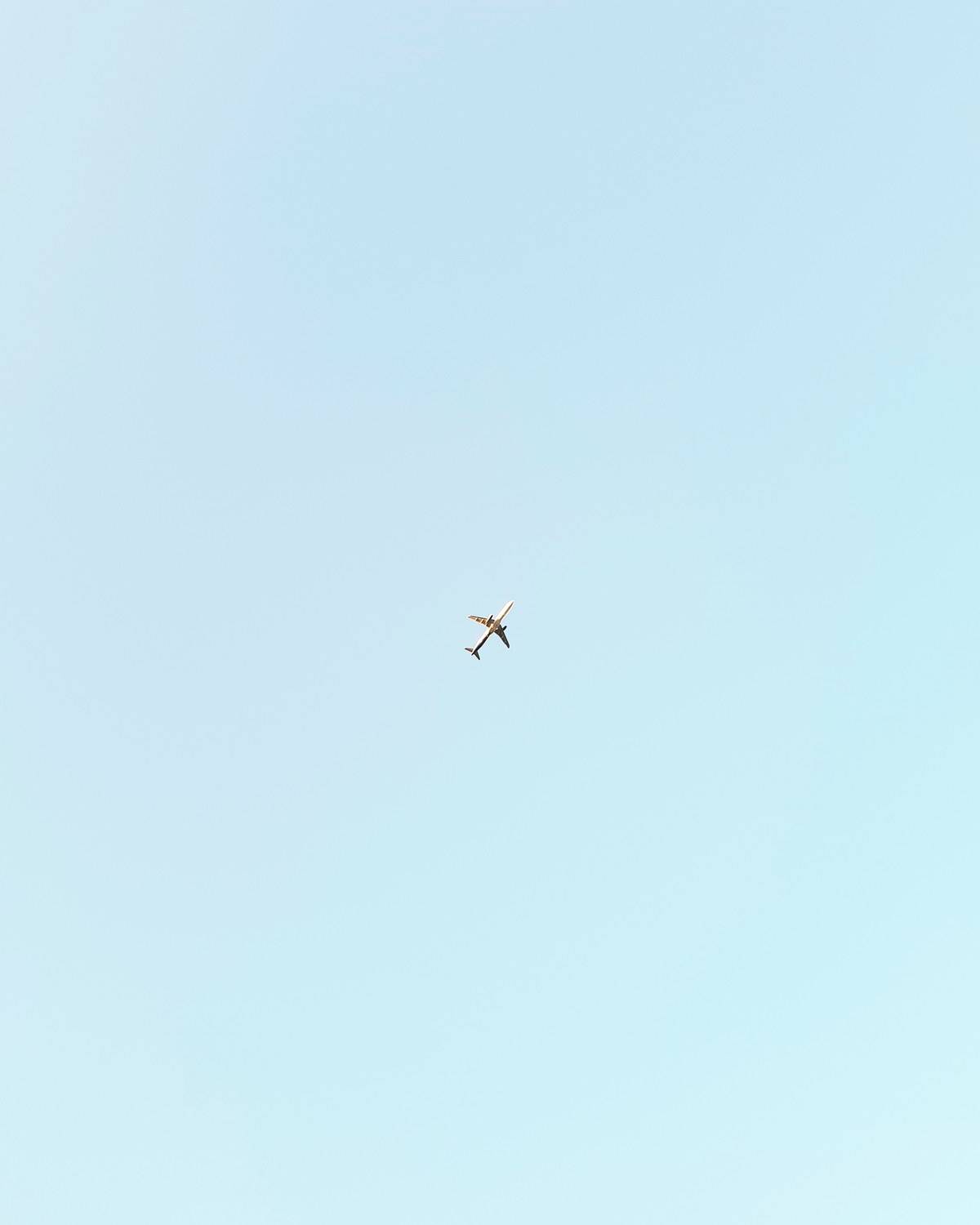 Photo #5952326