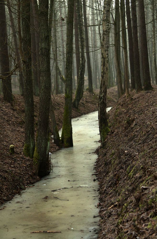 Photograph by Viktors Giršsons