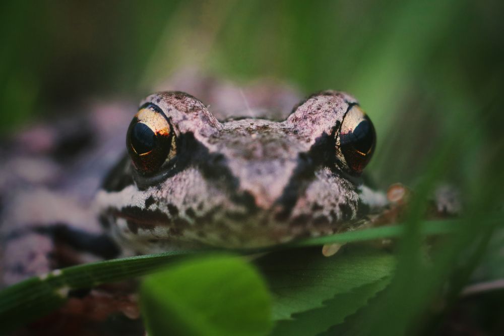 Photograph by Artem Gatin