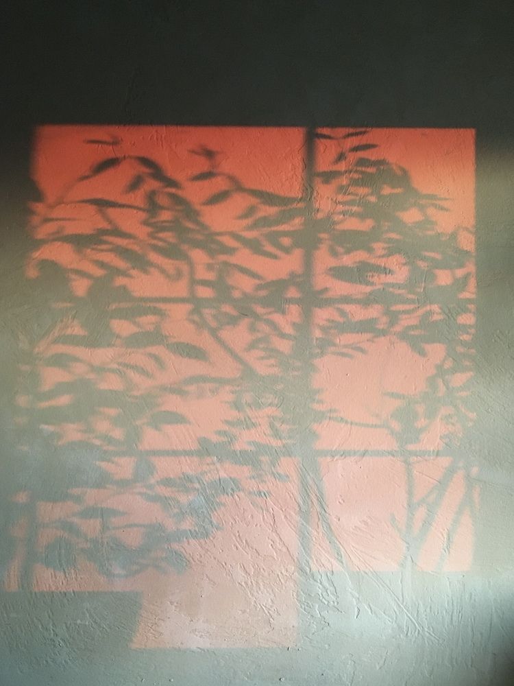 Photograph by Лариса Голованова