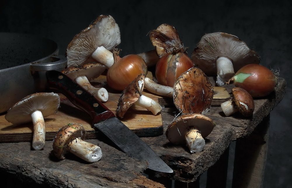 Photograph by Анатолий Святой