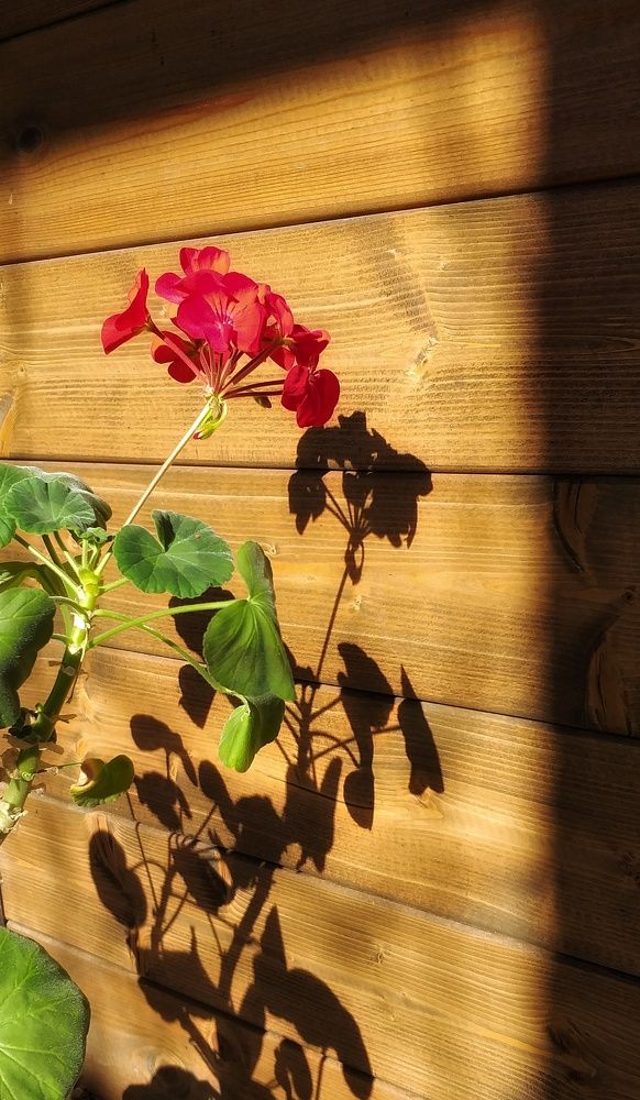 Photograph by Inna Kabanovich