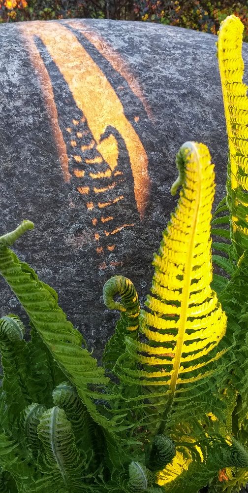 Photograph by Inna Kabanovich