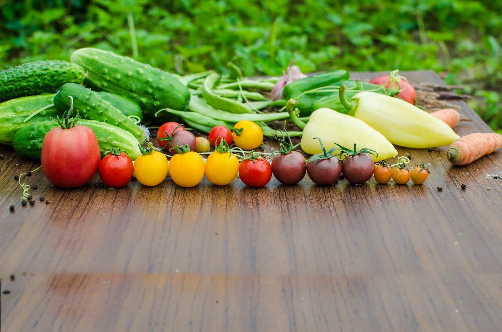 Photograph by Карен Багдасарян