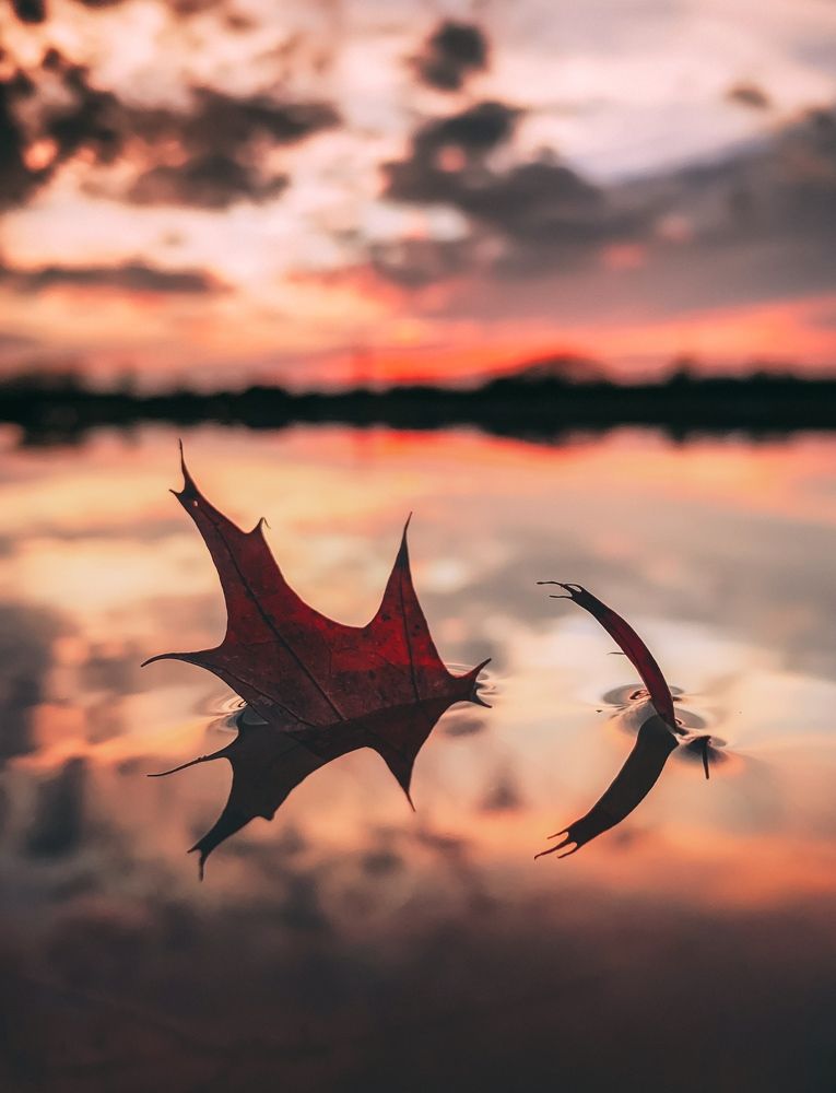 Безмятежность