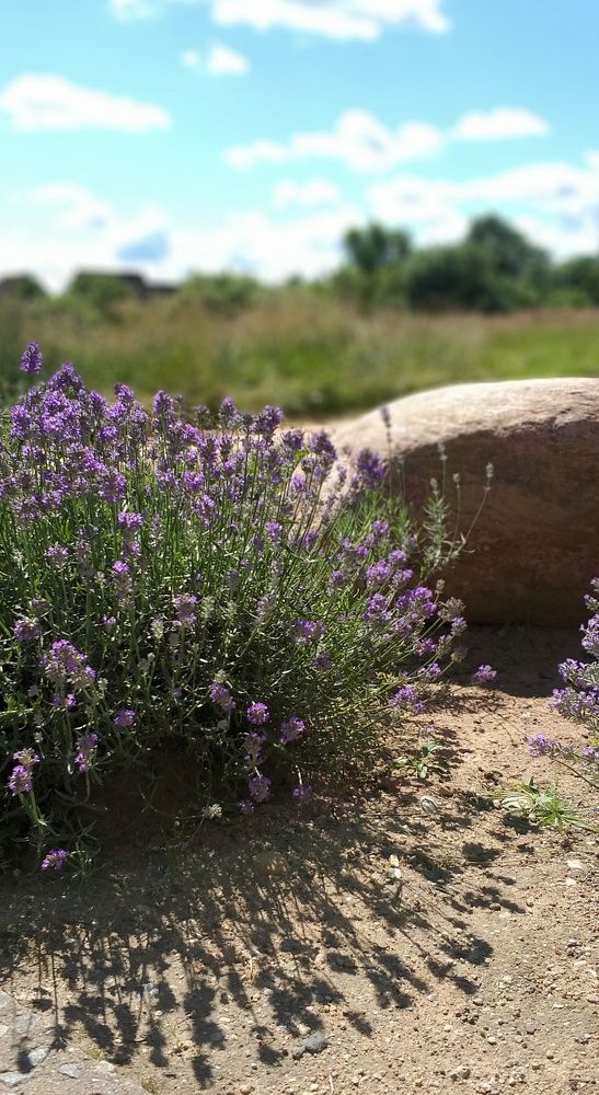 Photograph by Inna Kabanovich