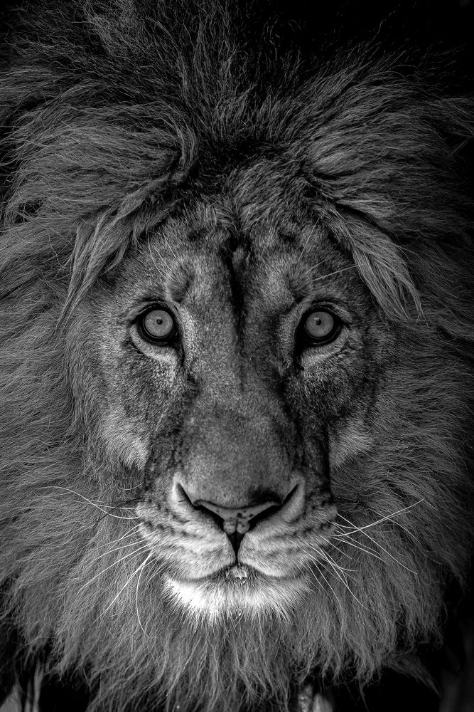 Photograph by Дмитрий Эбингер