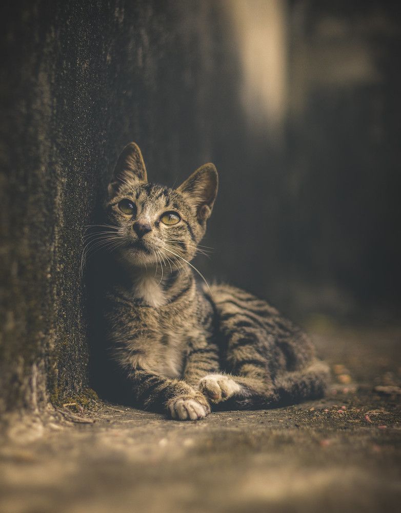 Photograph by Minh Chu Van