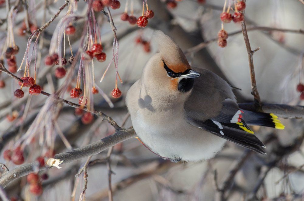 Photograph by Виктор Чернюк