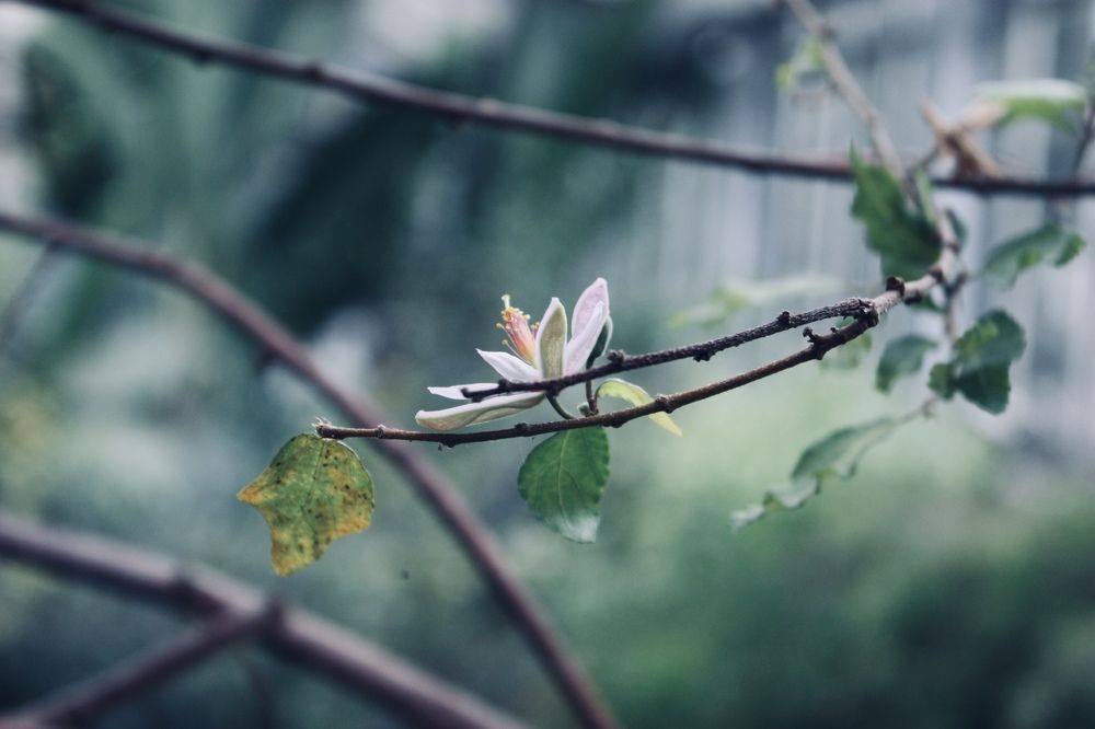 Photograph by Luisa manzano