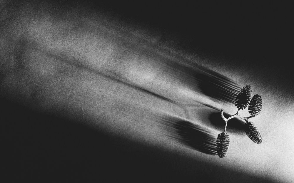 Photograph by Сергей Рудаков