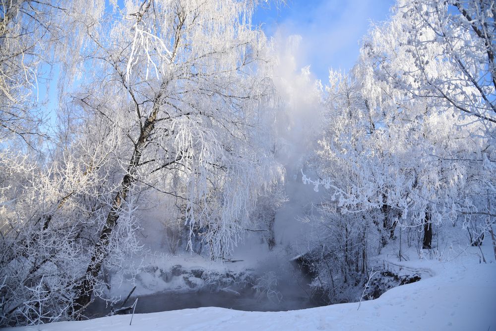 Фотография автора Коротков Алексей