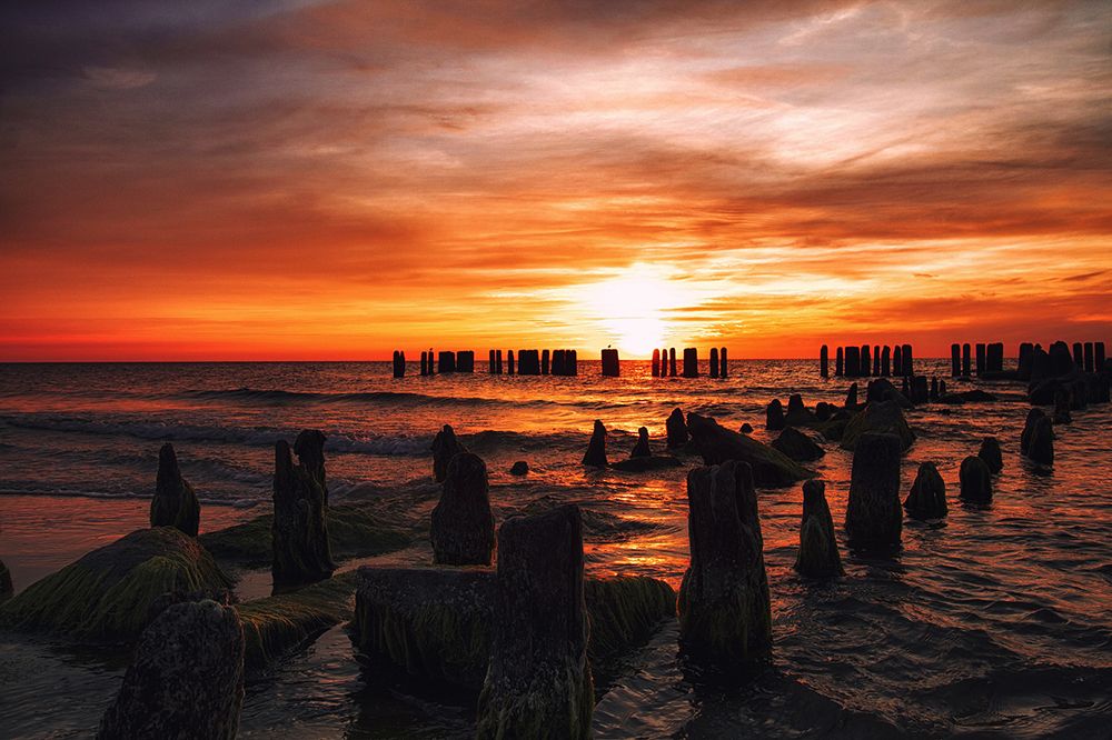 Фотография автора Ewa Lamond