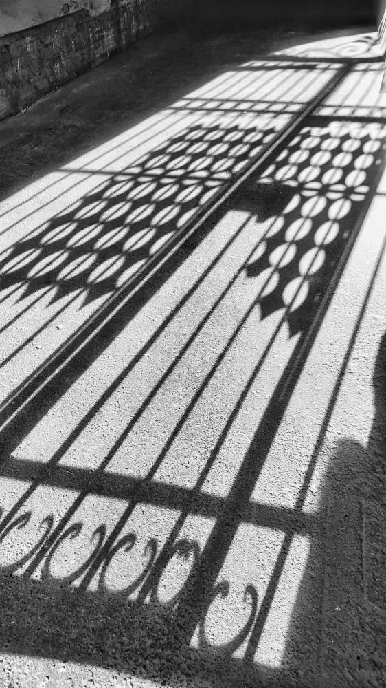 Photograph by Василий Косарев