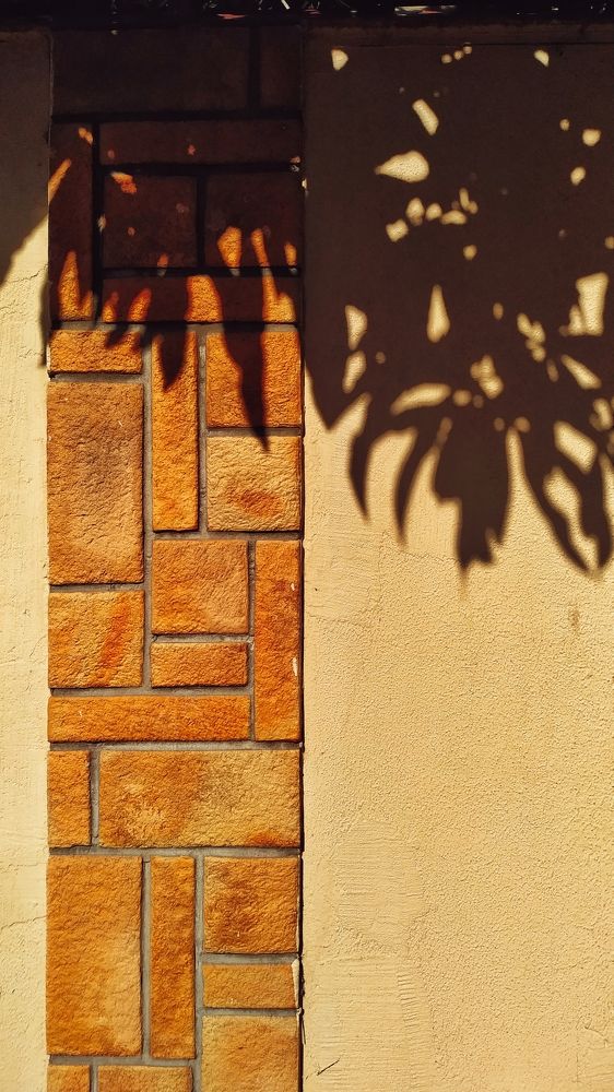 Photograph by Василий Косарев
