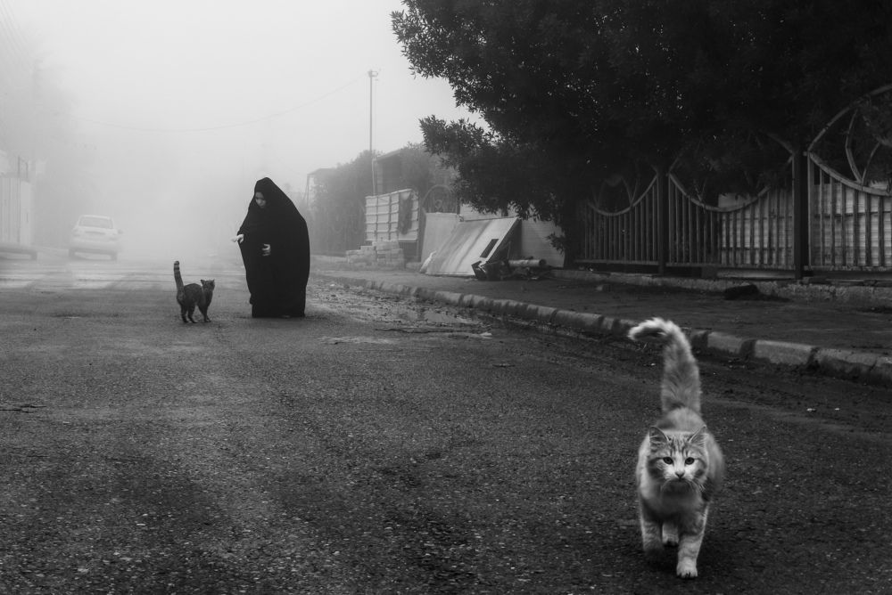 Photograph by Haneen Abdul Kareem